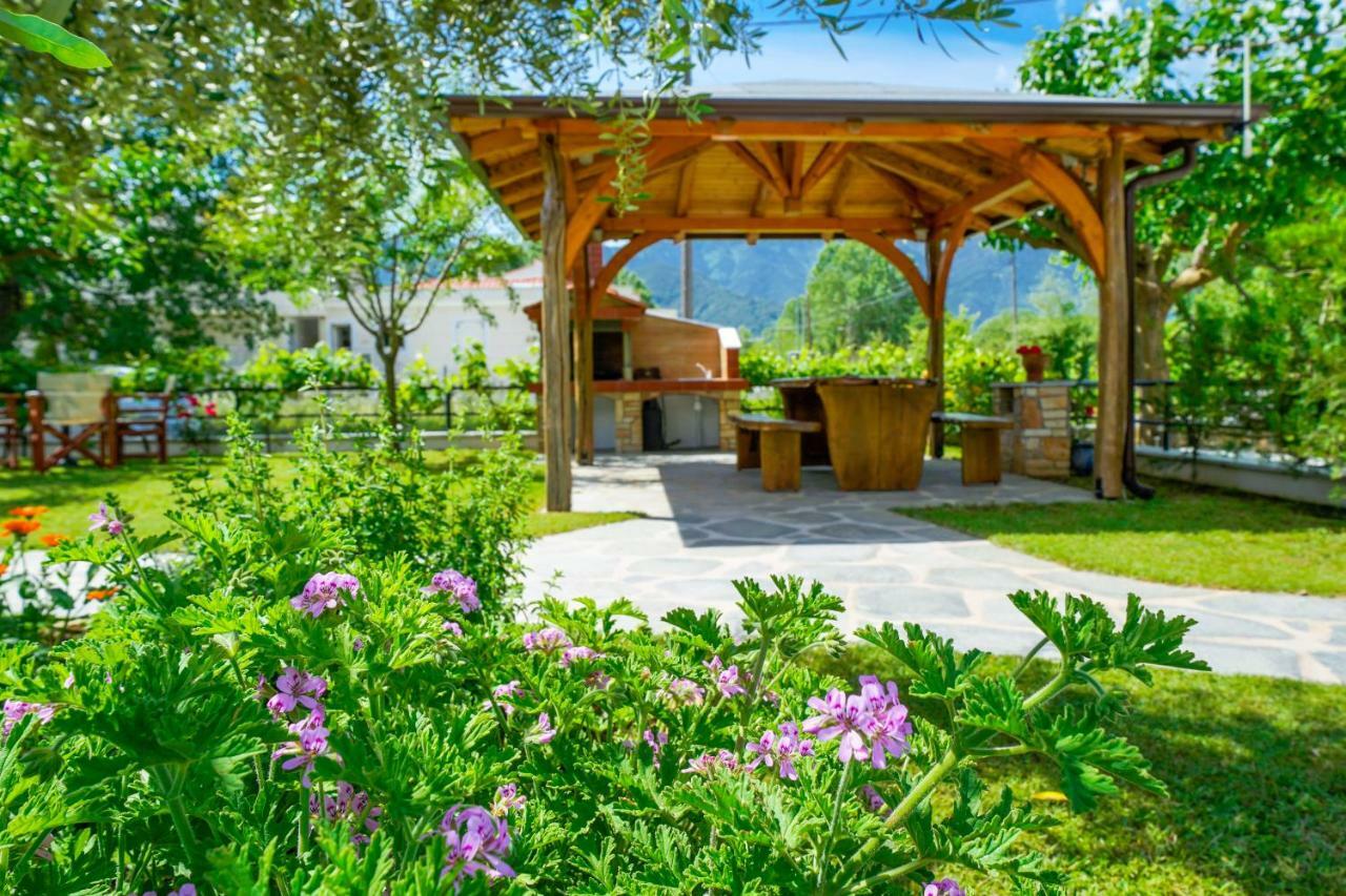 Studios Anemos Chrysi Ammoudia Ngoại thất bức ảnh